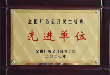 VSport-胜利厂务公开先进奖状